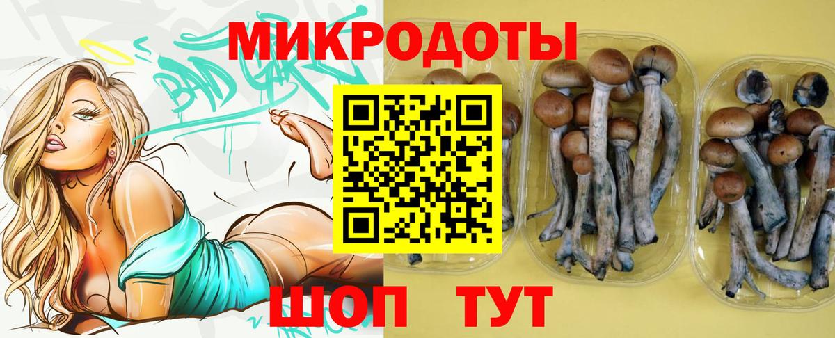 Галлюциногенные грибы мицелий Ростов Великий
