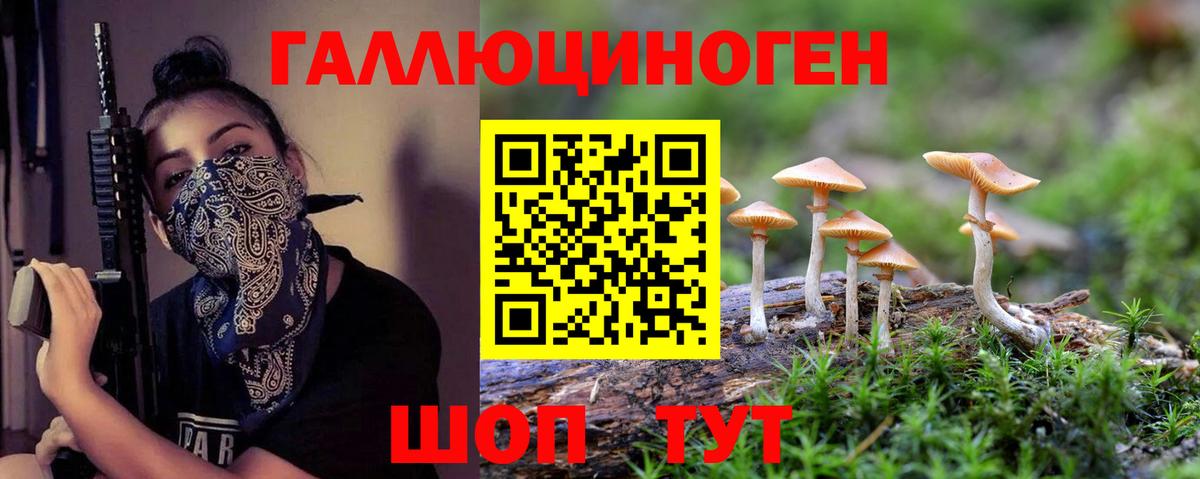 купить наркоту  Вход с VPN  Ростов Великий  Псилоцибиновые грибы Psilocybine cubensis 